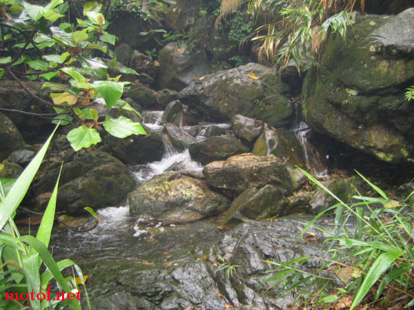IMG_9880.jpg