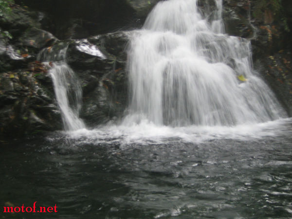 IMG_9846.jpg