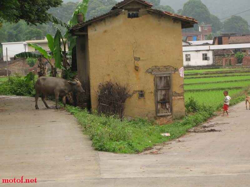 去旅行吧16.JPG