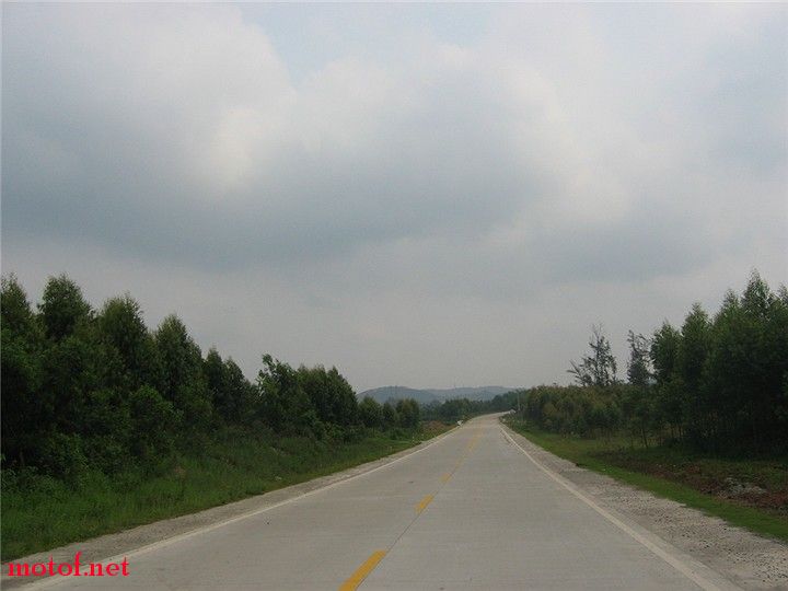 IMG_8731.jpg