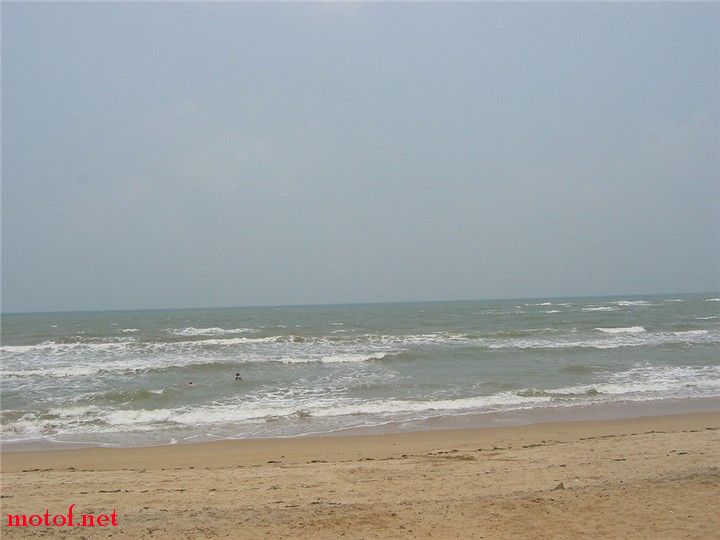 IMG_8802.jpg