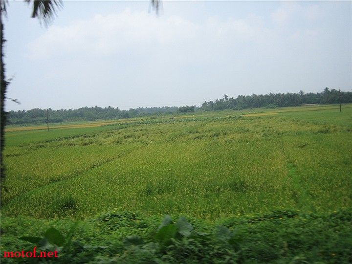 IMG_1090.jpg