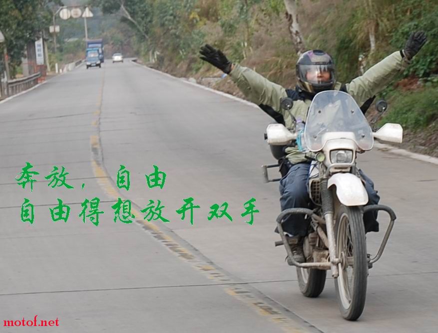 自由得想。。。放手.jpg