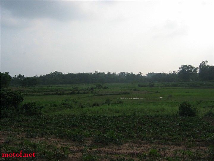 IMG_8824.jpg