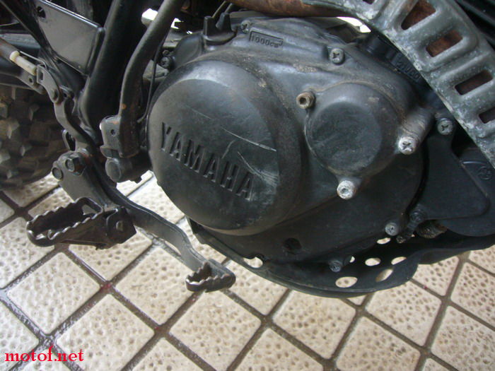P1110651_缩小大小.JPG
