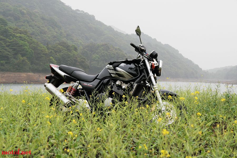 复件 IMG_8539.JPG