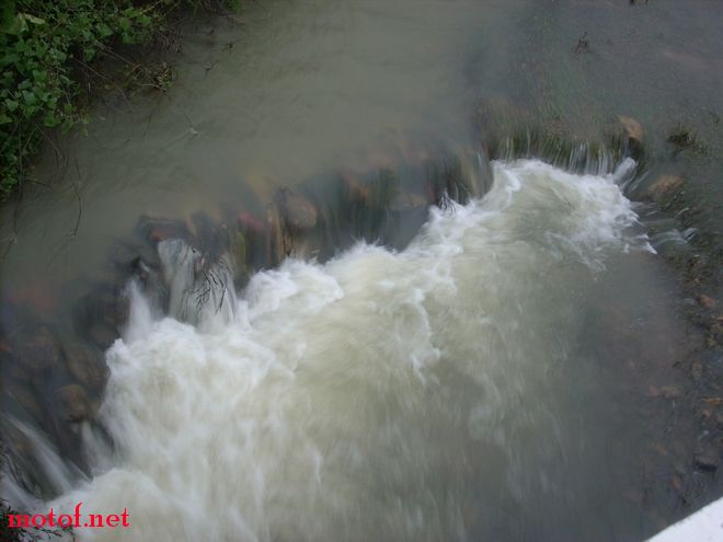 DSCN1781.jpg