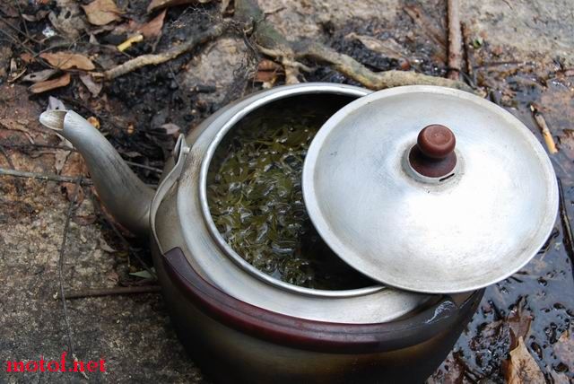 好茶，煲好了，山水的哦，想喝吗？