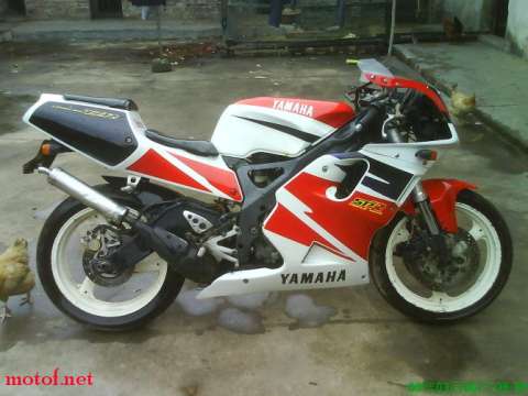 TZR250 V2