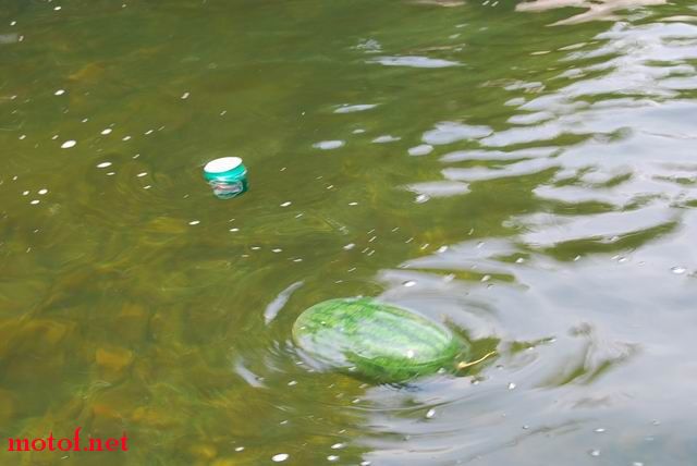 啤酒，西瓜都扔水里洗澡