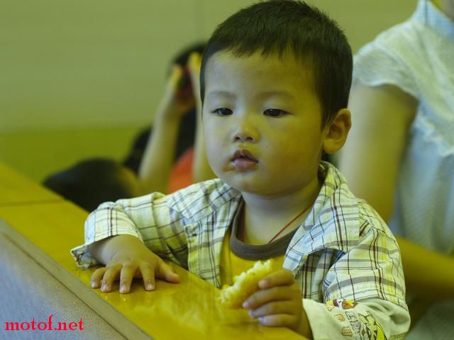 复件 _5294170.JPG