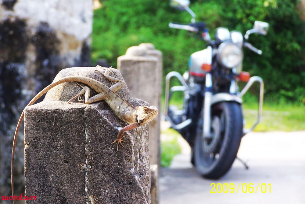 100_7961.JPG