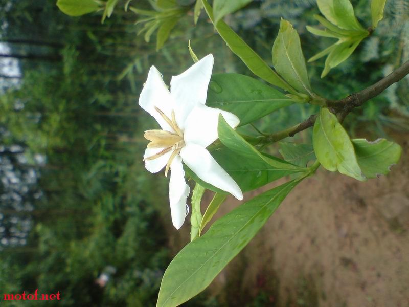 DSC00286.jpg
