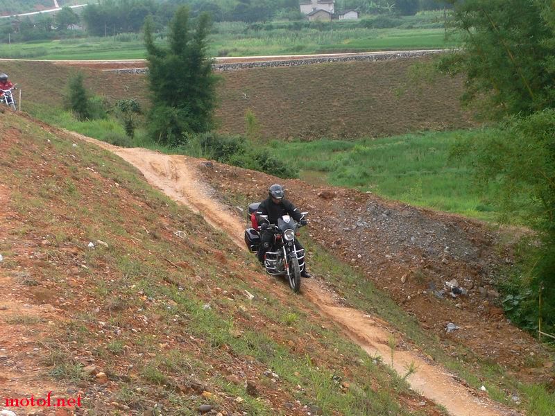 P1120831.jpg