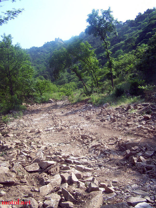 100_4086.jpg