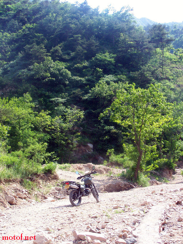 100_4082.jpg