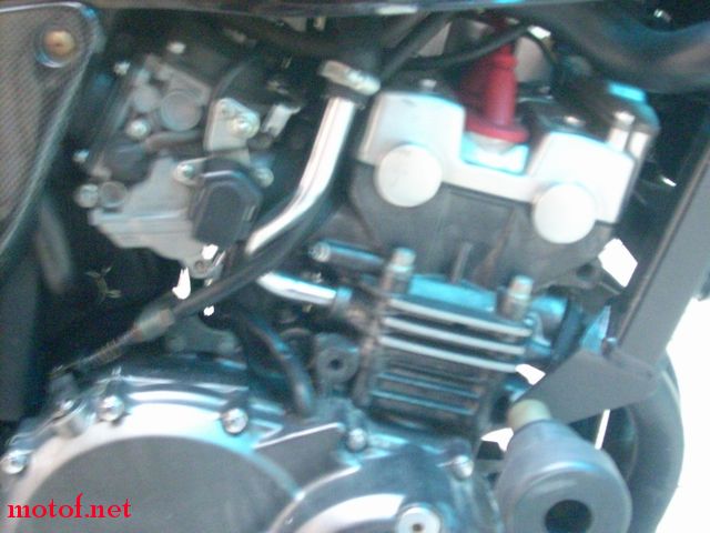 DSCN1837.jpg