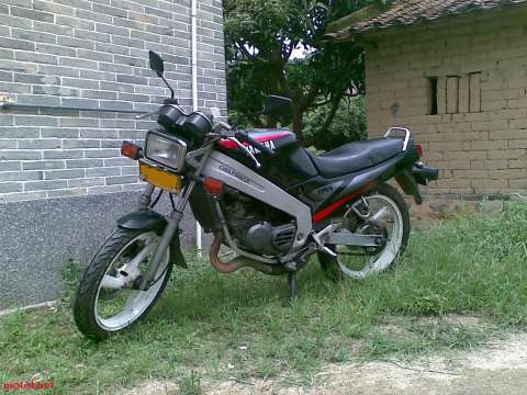 T仔
