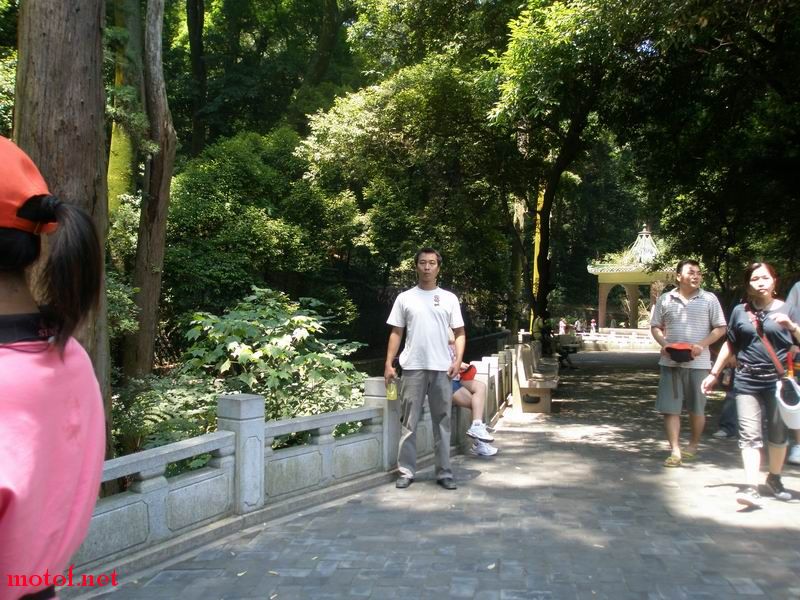 南华水松处