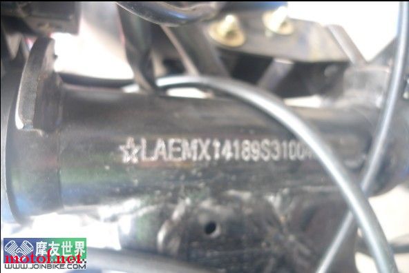 08.jpg