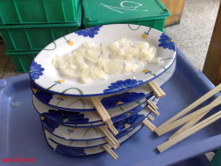 20090614449_调整大小.jpg