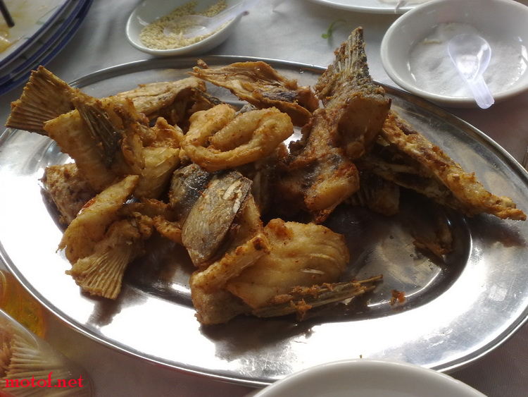 20090614455_调整大小.jpg