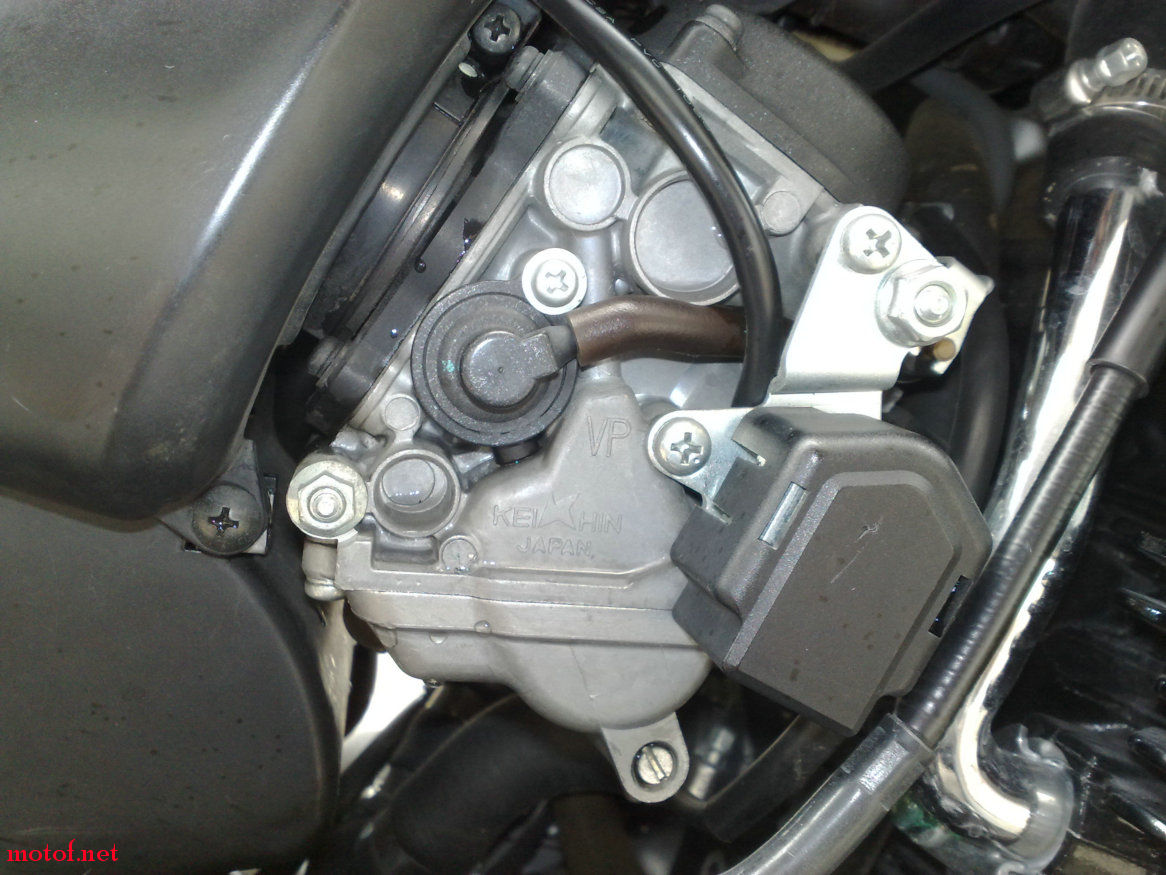 20090615524.jpg