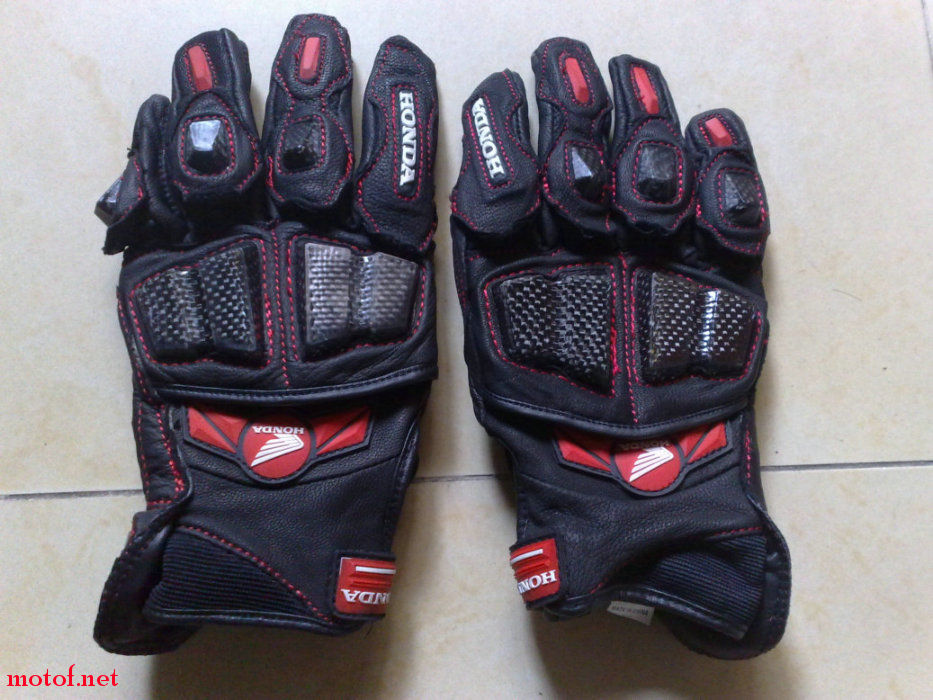 20090616556.jpg