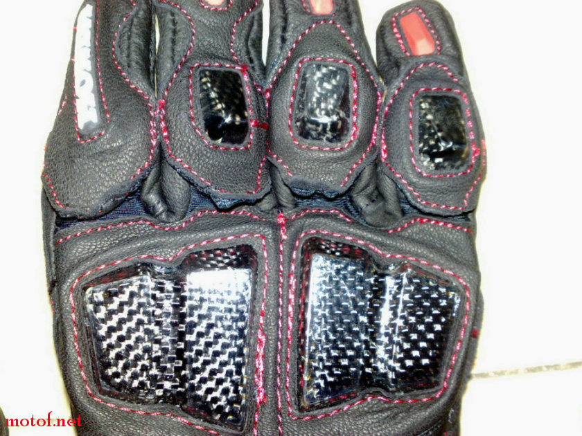 20090616561.jpg