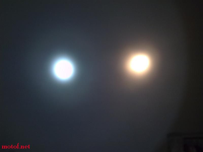 20090616489 (中).jpg