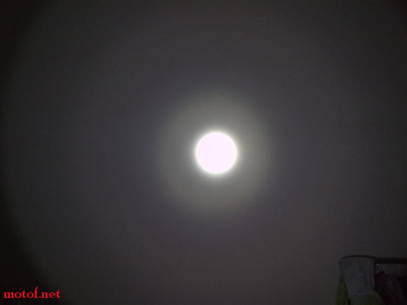 20090616487 (中).jpg