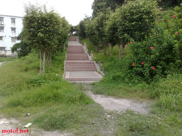 20090620481_调整大小.jpg