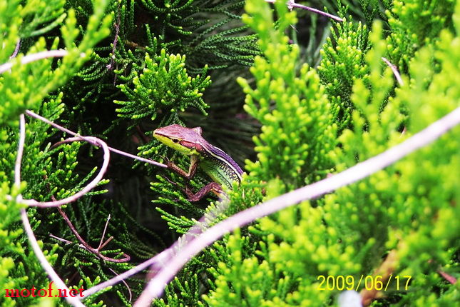 100_8225.jpg