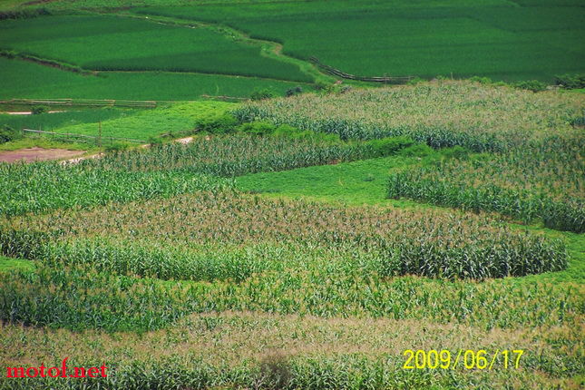 100_8283.jpg
