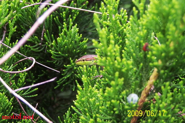 100_8223.jpg