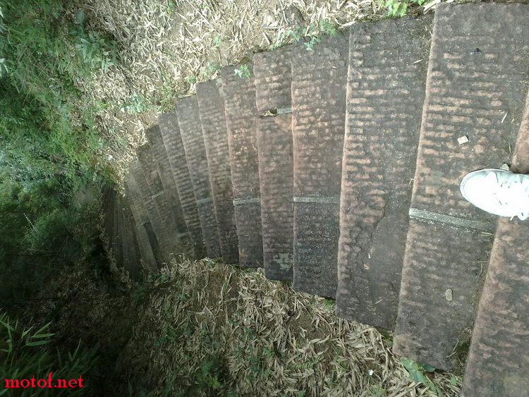 20090628587_调整大小.jpg