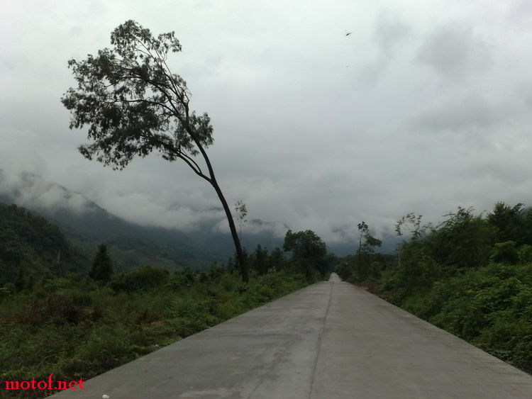 20090628617_调整大小.jpg