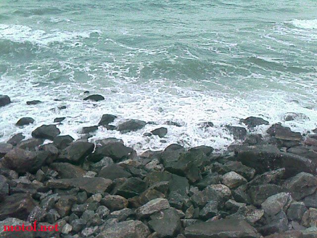 IMAGE_237.jpg