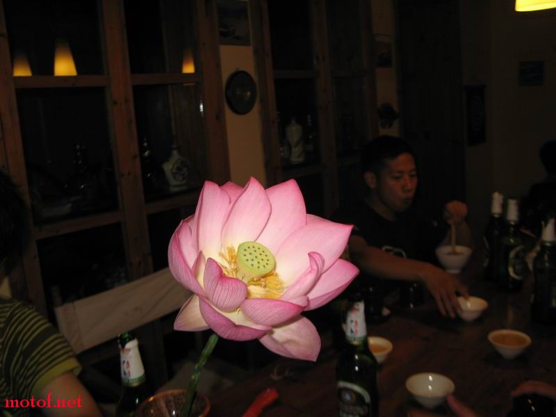 IMG_7695.JPG