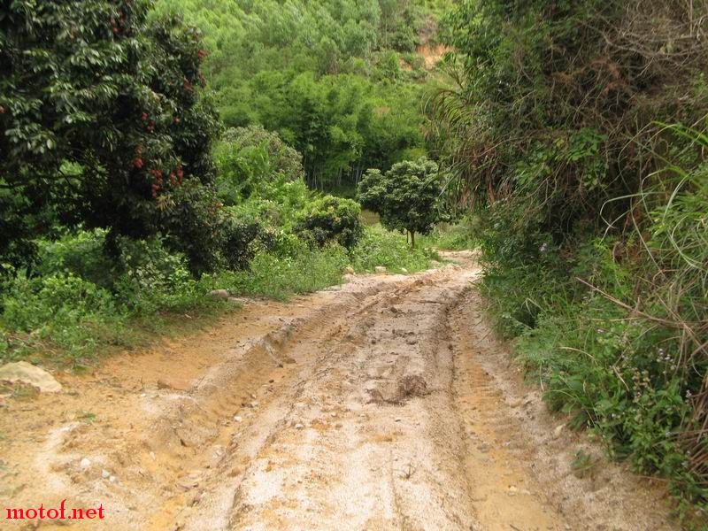 B 07.JPG