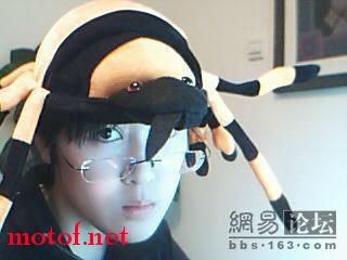 2009_7_4_66438_9566438.jpg
