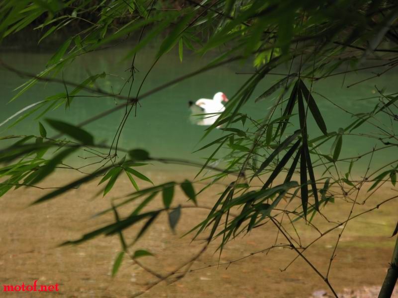 20090706_3330f9d1909fd1baba26OB31hQovP4QK.jpg