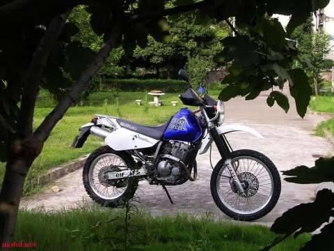 天浪650