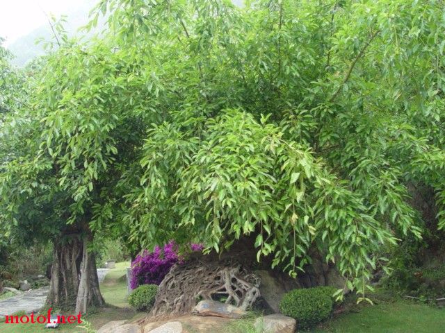 DSC08451 (640x480).jpg