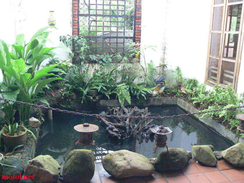 P1120037x.jpg