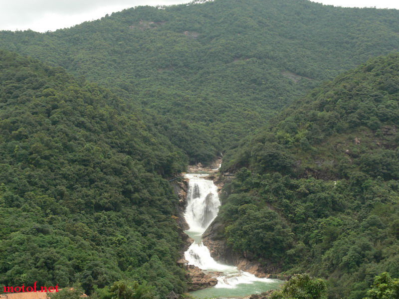P1120003x.jpg