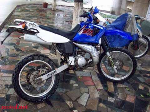 DT230