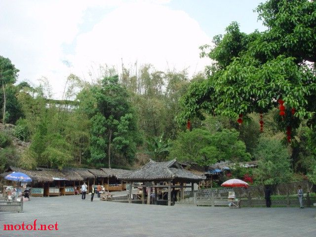 DSC08428 (640x480).jpg