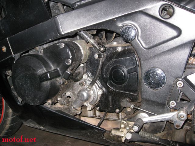 IMG_1286 [640x480].JPG