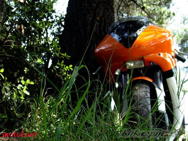 bikepics-1261919-full.jpg